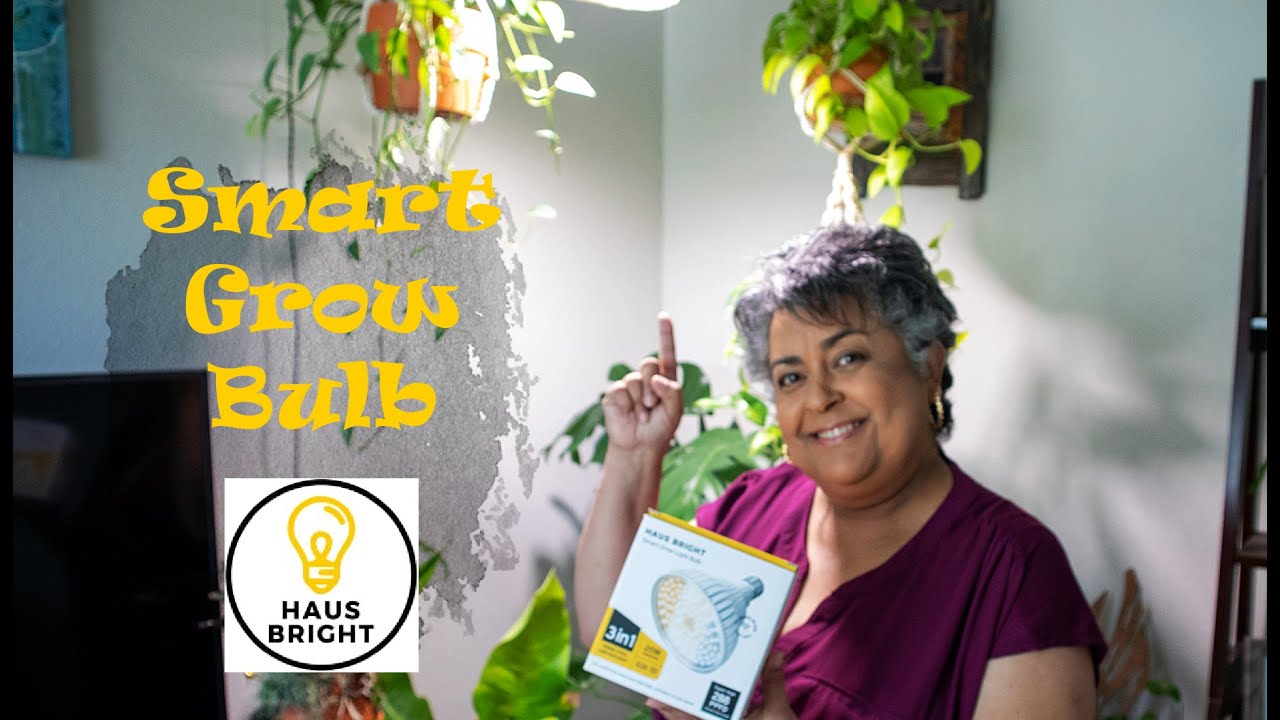 Haus Bright Smart Grow Bulb: Grow More Plants With This Revolutionary Technology