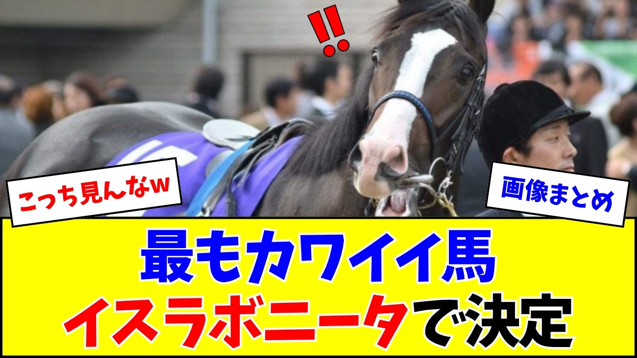 最もかわいい馬、イスラボニータで満場一致【反応集】