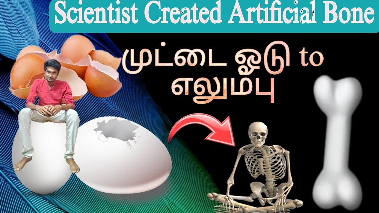 Turning Eggshells into Bone Grafts| A Revolutionary Approach to Bone Regeneration| 