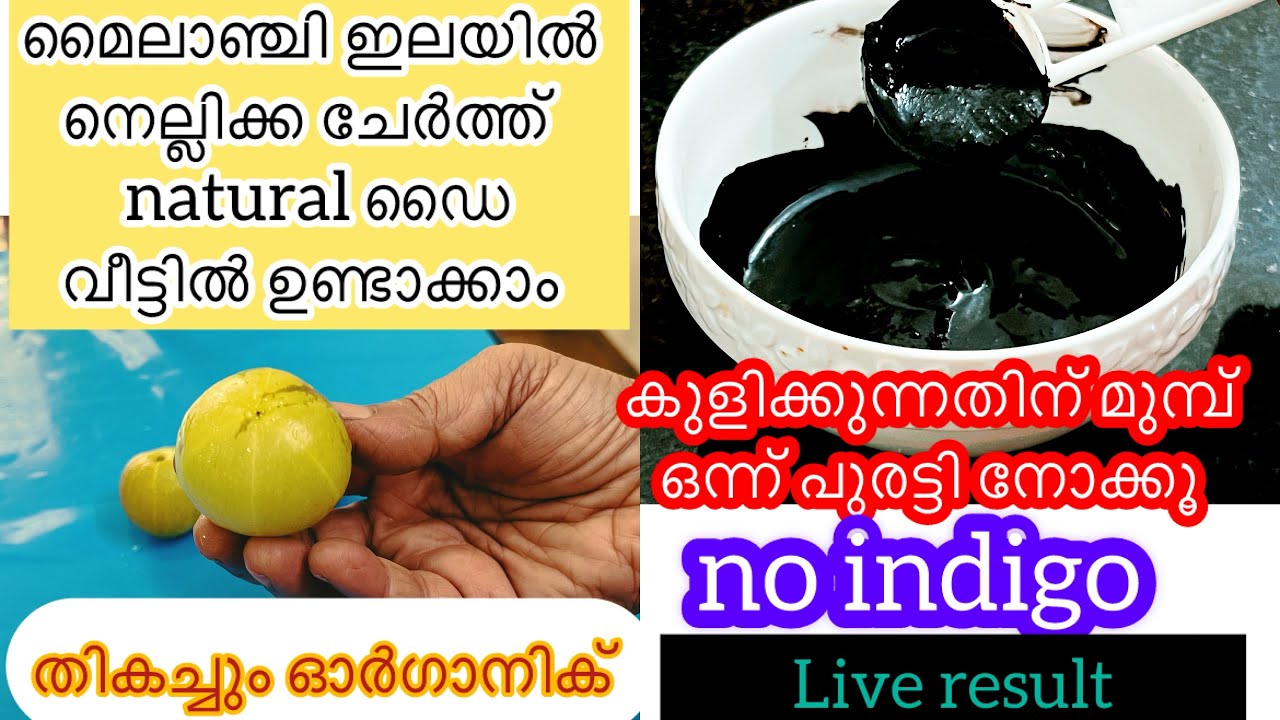 💯ഒറ്റ യൂസിൽ കട്ടക്കറുപ്പ് |നെല്ലിക്ക ഉണ്ടെങ്കിൽ പെട്ടെന്ന് റെഡി ആക്കാം |Amla hair dye|natural dye .