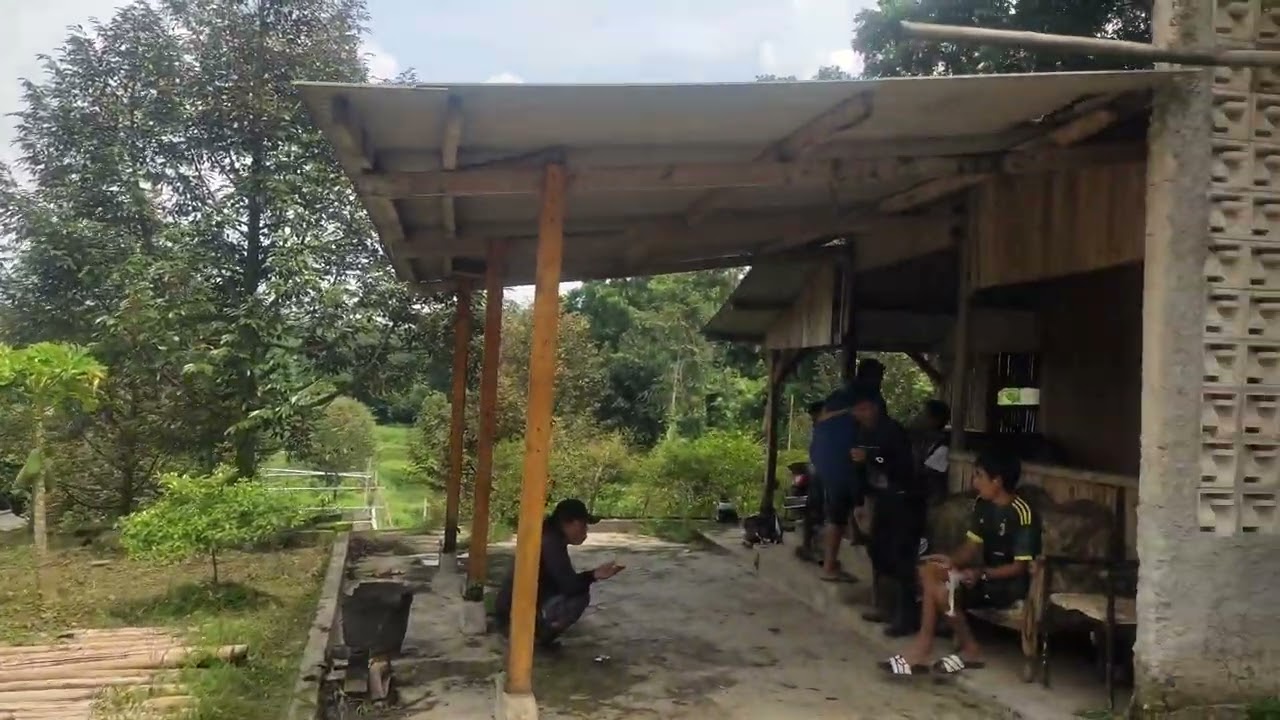 jual tanah kebun ples rumah vila luas 2600 meter ² surat SHM harga 600 jt #tanahmurahdibogor 