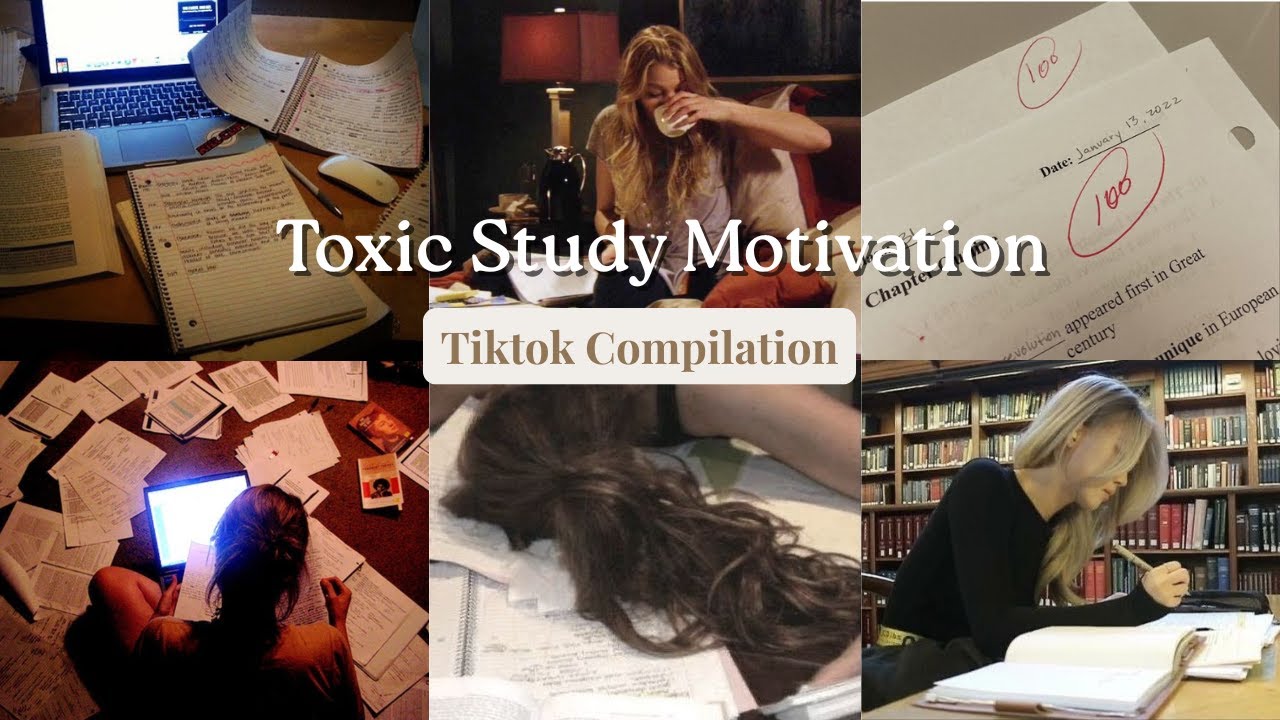 TOXIC STUDY MOTIVATION | Tik Tok Compilation | Studytok