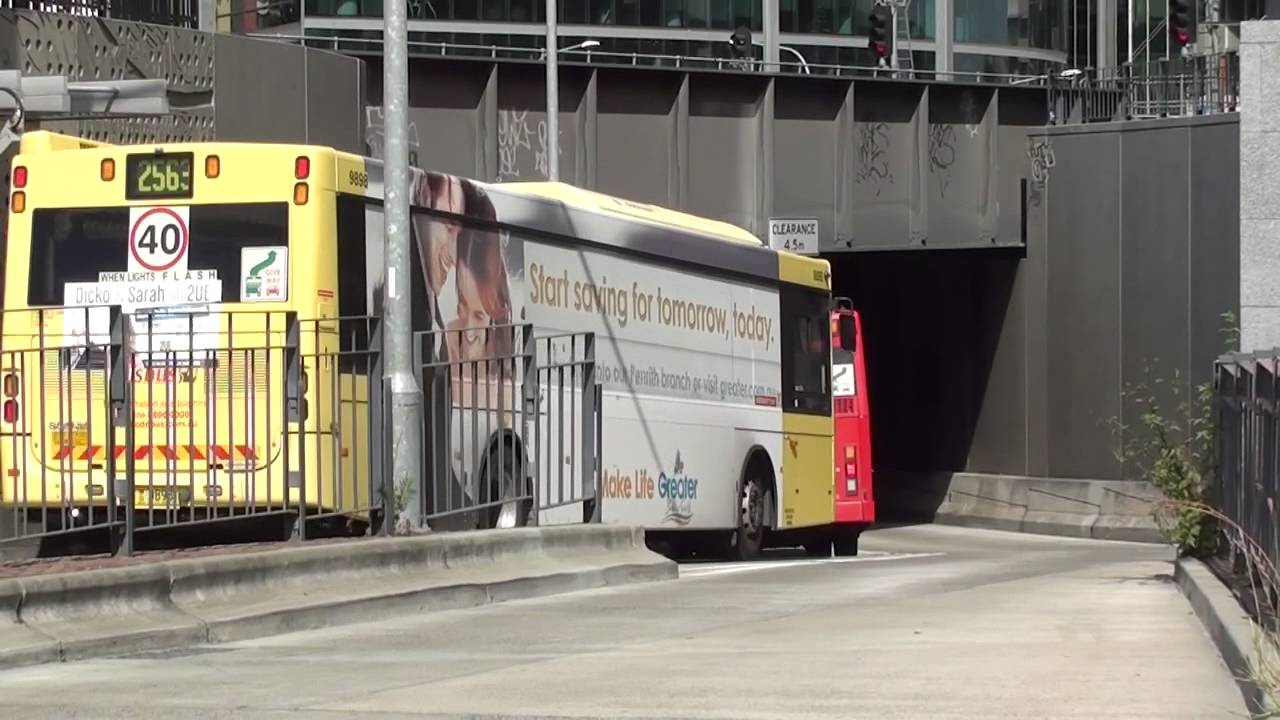 Buses at Parramatta - Sydney Transport