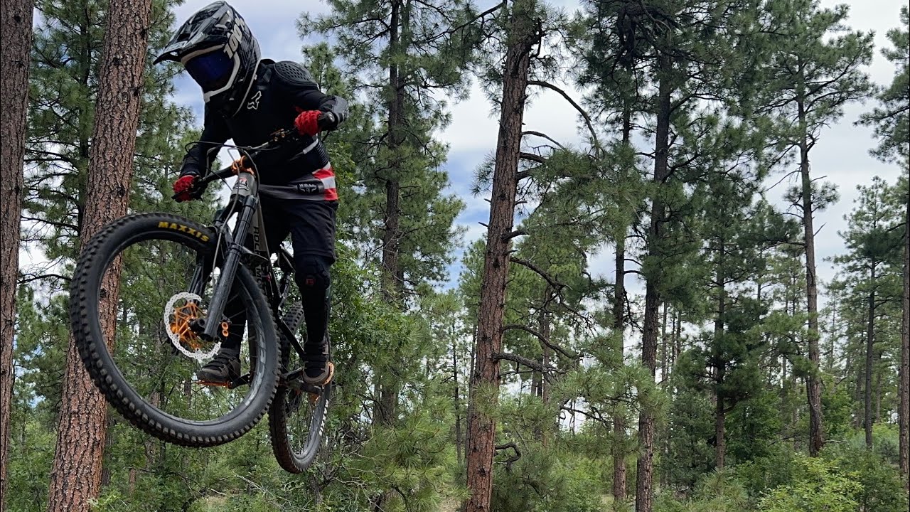 Murder Hornet at Buena Vista Secret Trails