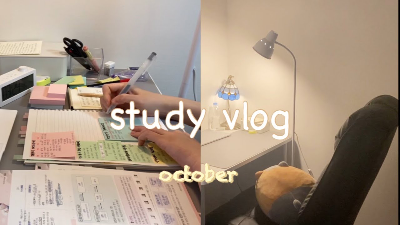 공시생 vlog | 공부 정체기, 아무것도 하기 싫다... | 지방직 9급 |