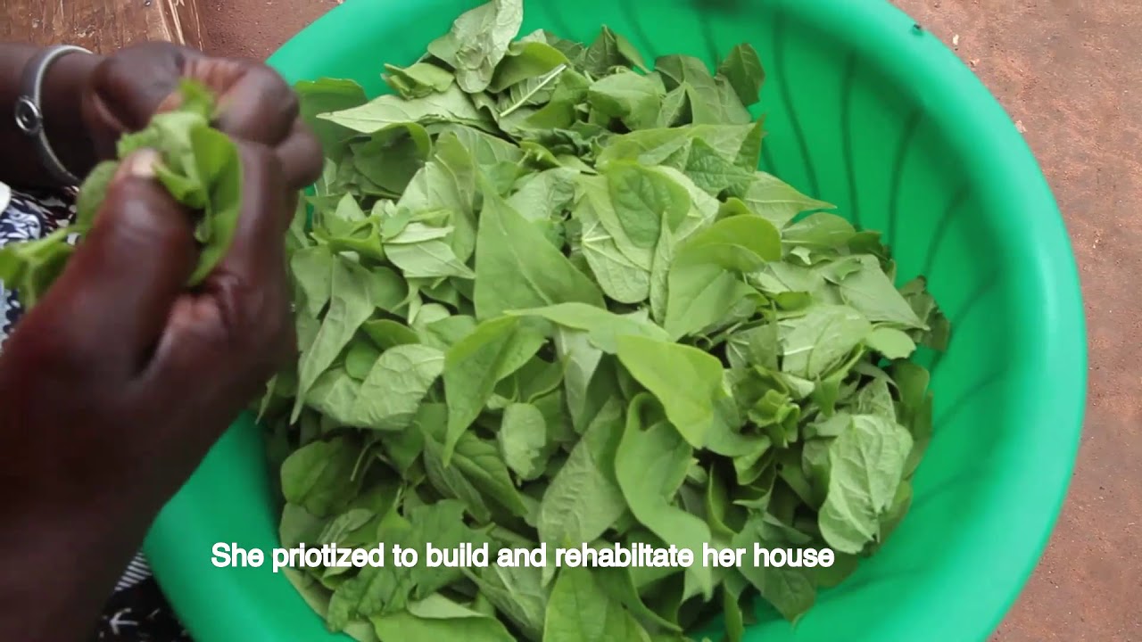 Women can make it through agriculture.    ADP Mbozi, Songwe, Tanzania