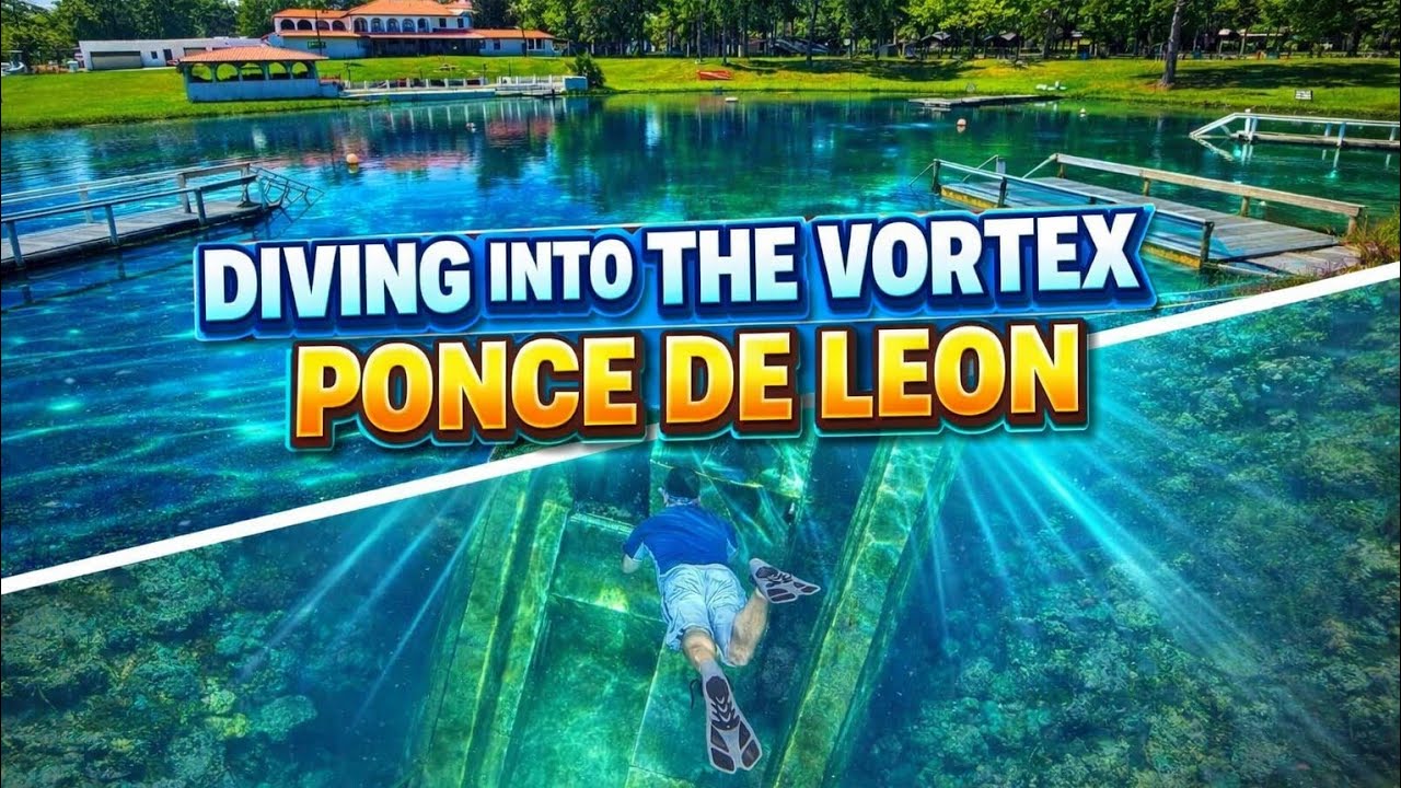 Vortex Spring: The BEST Free-Diving Paradise in Florida