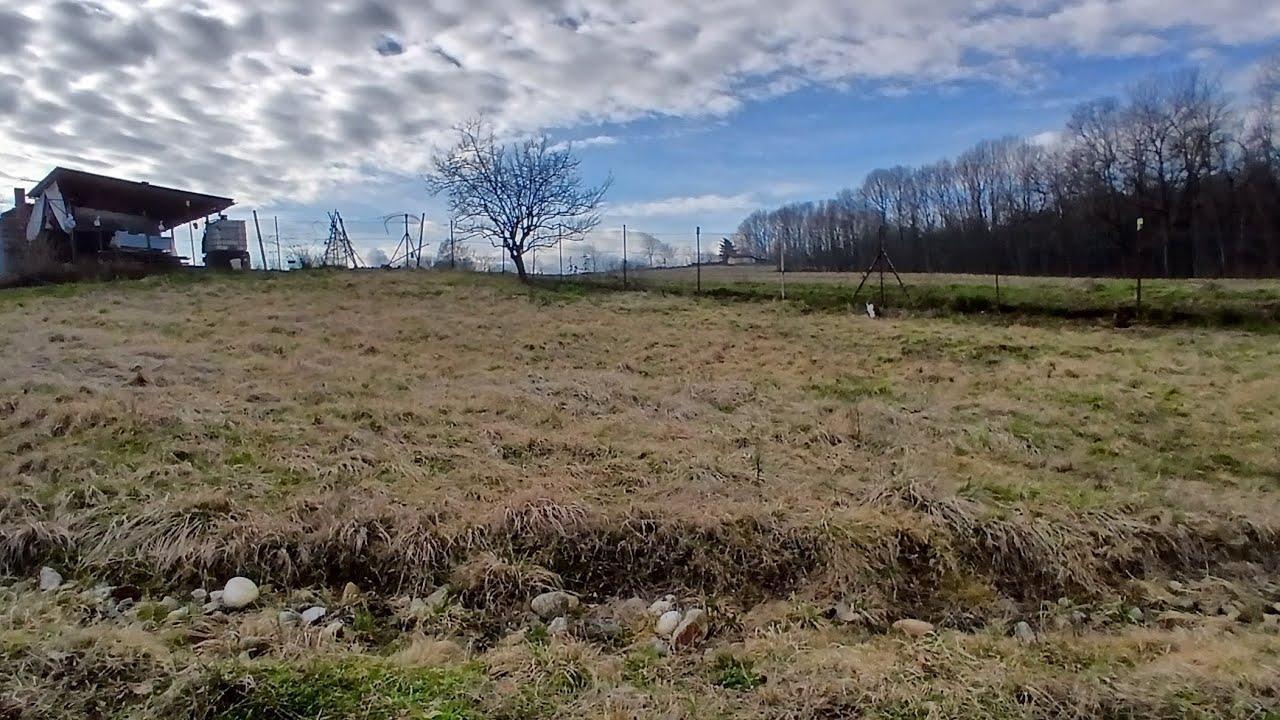 Una palestra a tutto campo