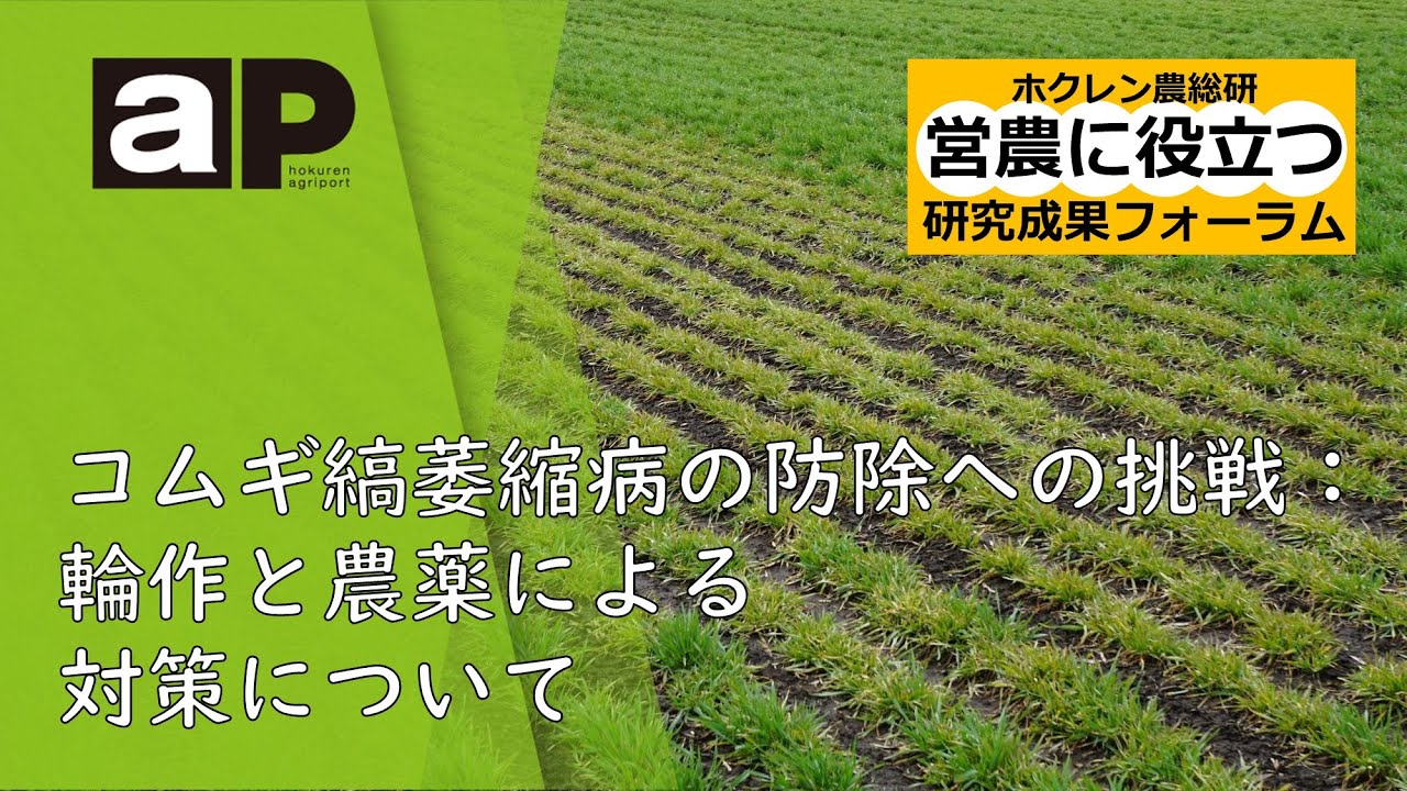 【営農に役立つ研究成果フォーラム】コムギ縞萎縮病の防除への挑戦：輪作と農薬による対策について