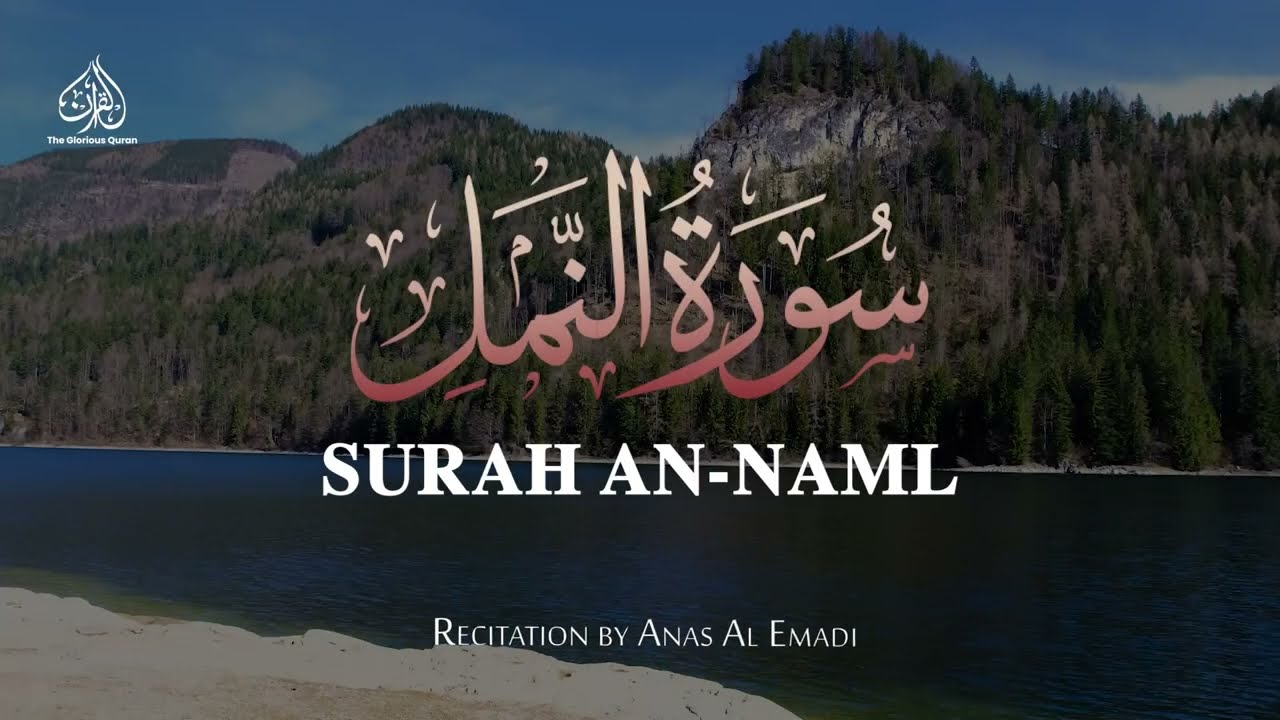 THE ANTS - SURAH AN NAML | ANAS AL EMADI | ENGLISH SUBTITLES | BEAUTIFUL RECITATION