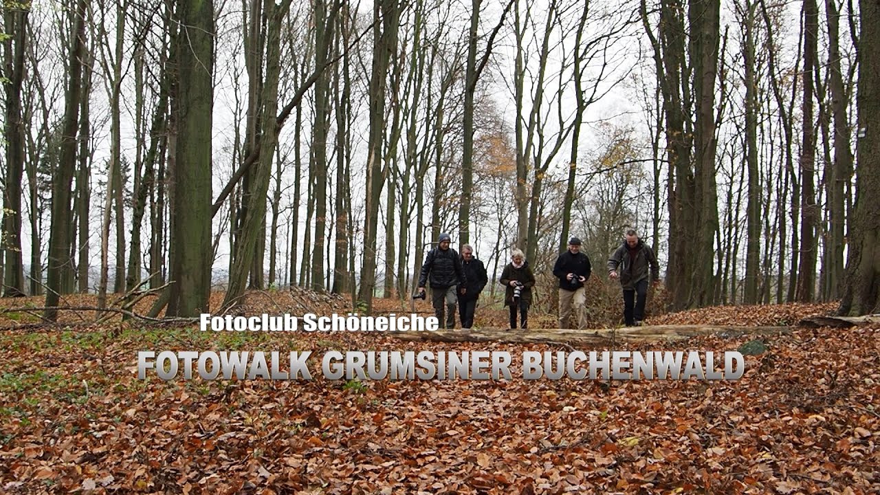 Fotoclub Schöneiche - Fotowalk Grumsiner Buchenwald