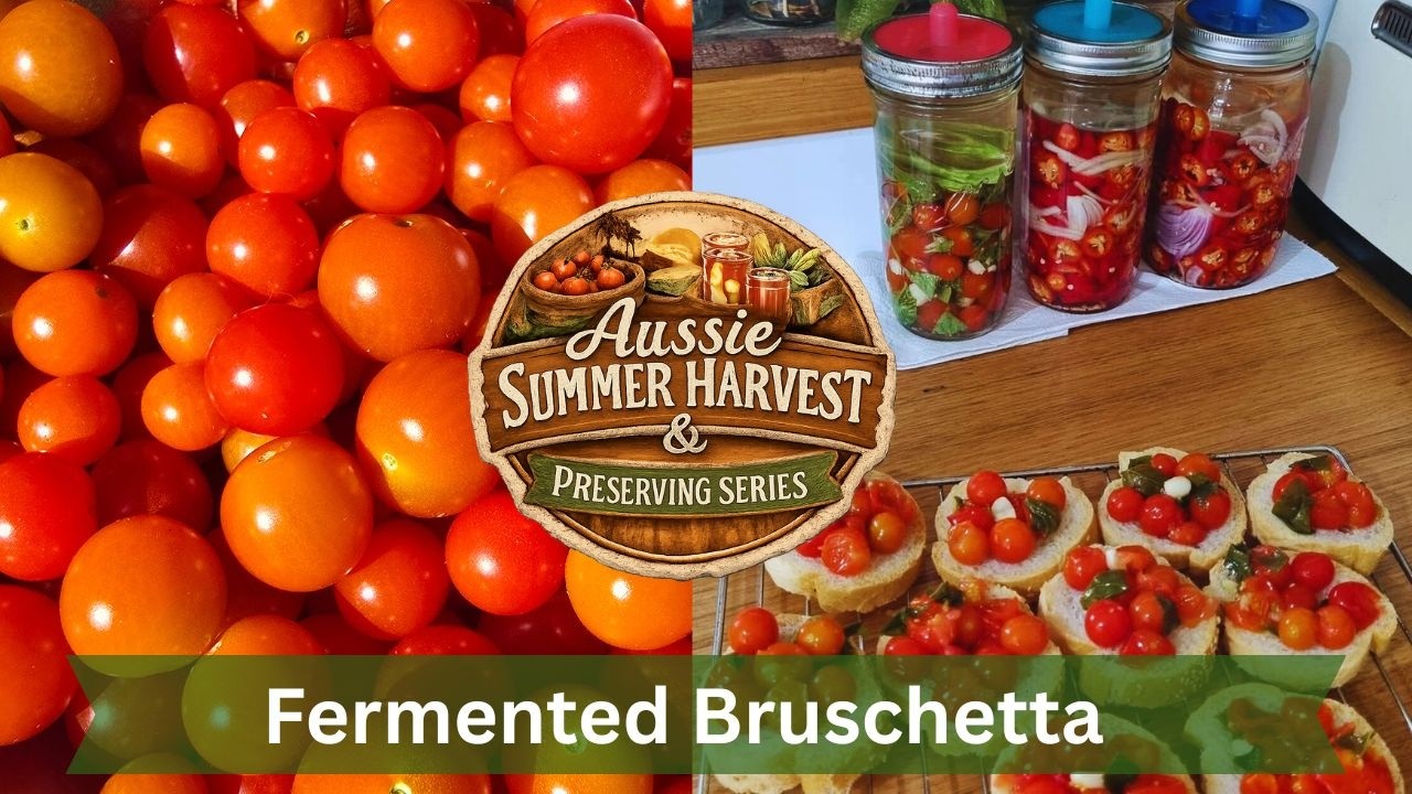 Too Many Cherry Tomatoes? Make Fermented Bruschetta | Aussie Summer Harvest & Preserving Series