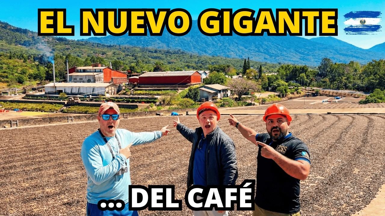 La revolución del café ya comenzó en El Salvador 🇸🇻