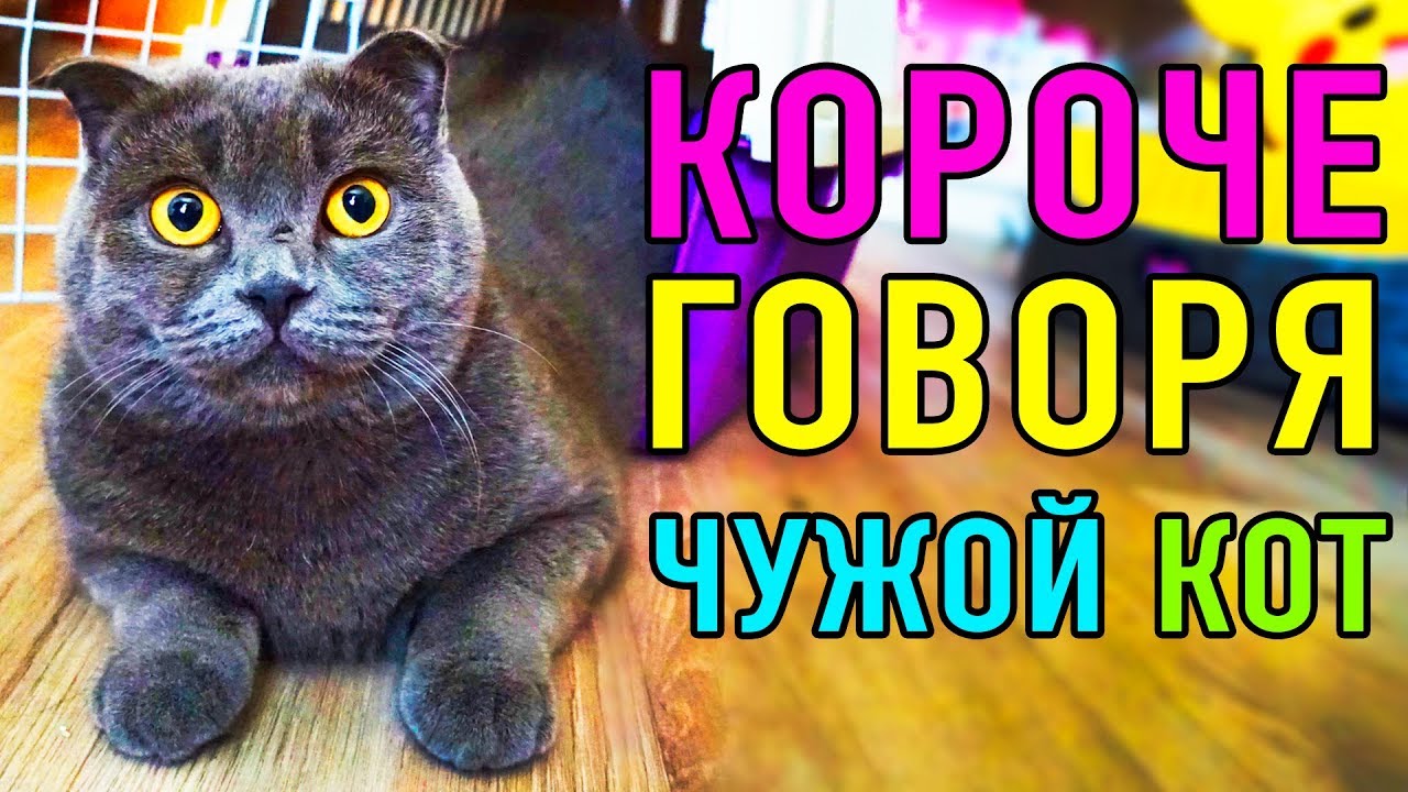 КОРОЧЕ МЯУ ГОВОРЯ ЧУЖОЙ КОТ | ПАРОДИЯ Magic Pets
