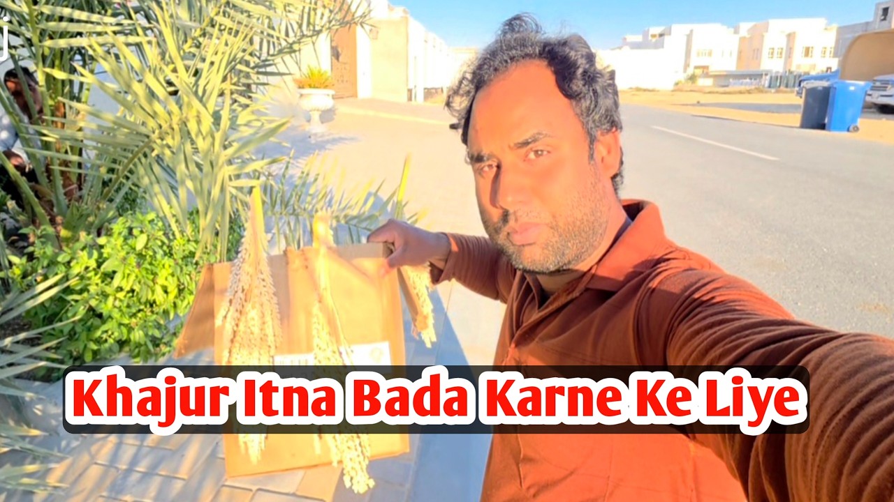 Khajur Itna Bada Karne Ke Liye Bhulplendar Vlog Sameem Vlog