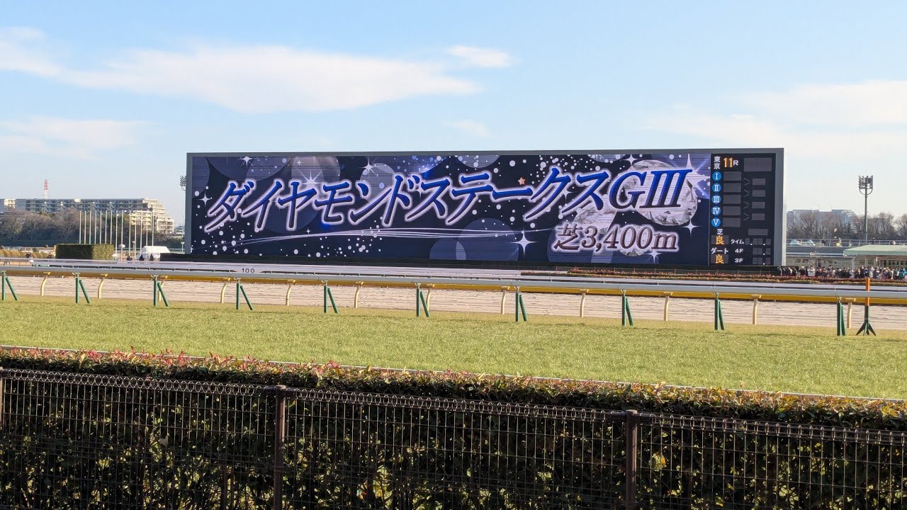 ダイヤモンドステークス2026