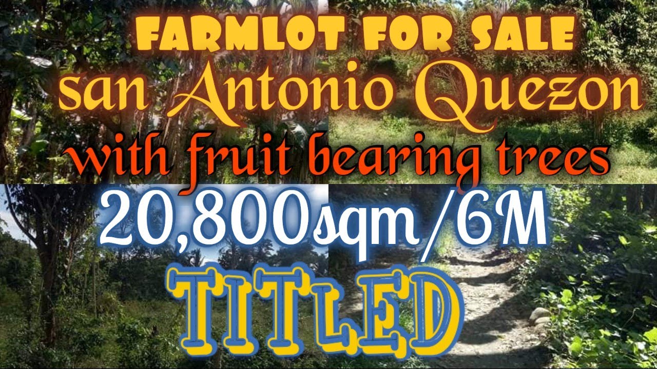 ‼️SOLD‼️SOLD‼️farmlot for sale/san Antonio Quezon/20,800sqm/titled/6M