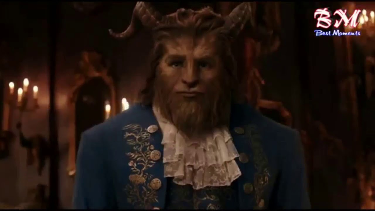 Cinderella and Beauty and The Beast Crossover&brvbar;&brvbar;Plan On Forever&brvbar;&brvbar;
