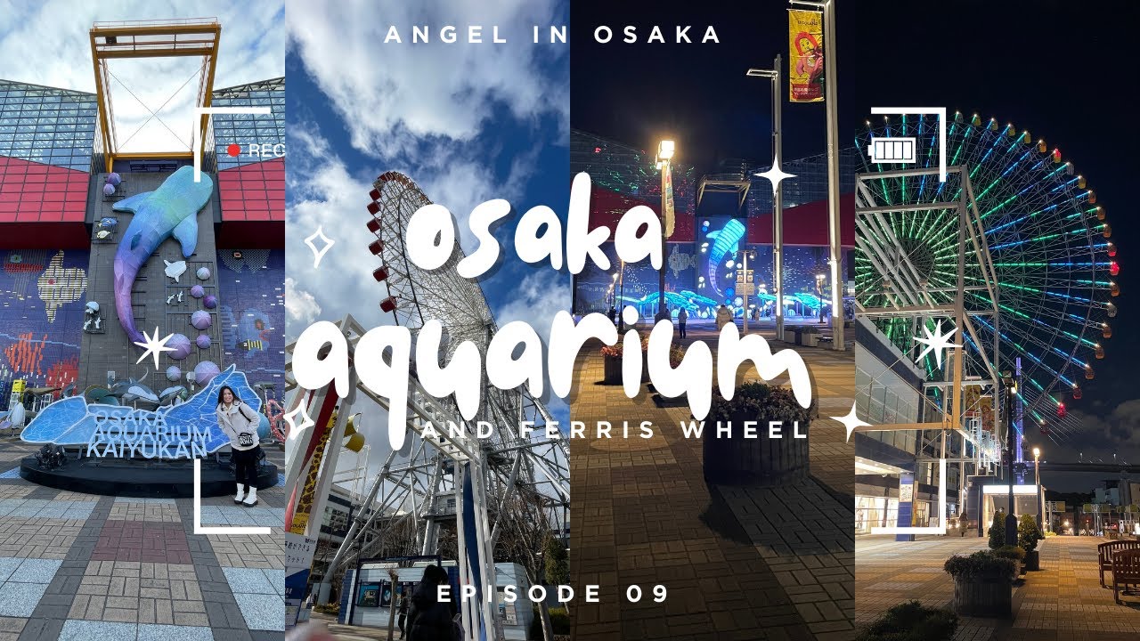 Things to do in Osaka: Kaiyukan Aquarium & Tempozan Ferris Wheel Sunset! 🌅🐠