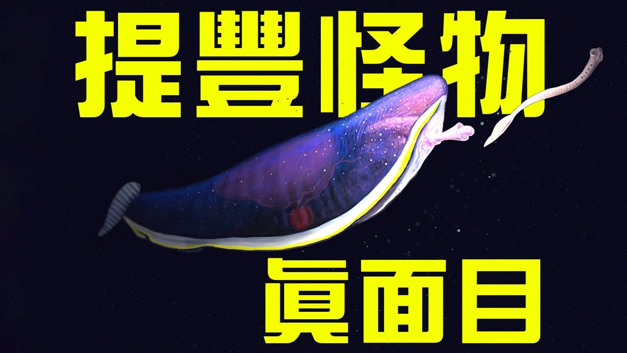 地球三大妖孽生物之一的提豐怪物終於現出真身！3.8億年前的戈戈魚獻出最古老的心臟！非洲的第一隻恐龍長什麼樣？丨朝化析拾09丨黑毛羊駝