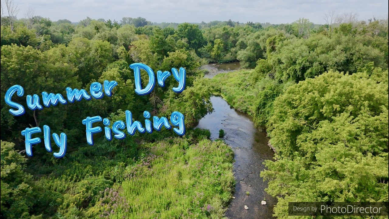 Summer dry fly fishing