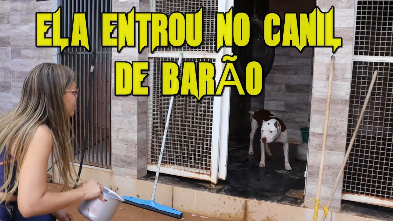 ELA ENTROU NO CANIL DO PITBULL BARÃO COM ELE SOLTO