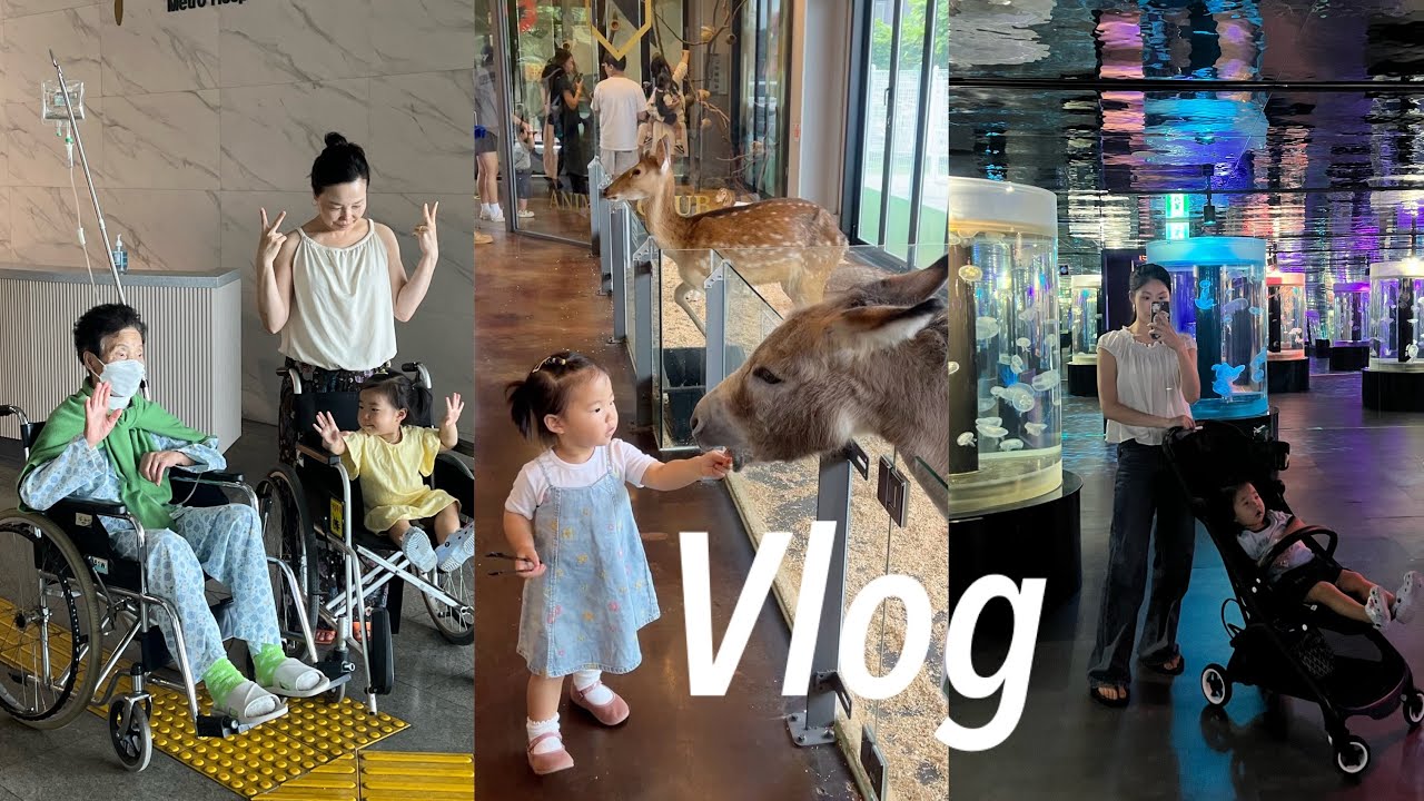 Vlog | 뜨거운 우리들의 일상💚무럭무럭 크는 22개월