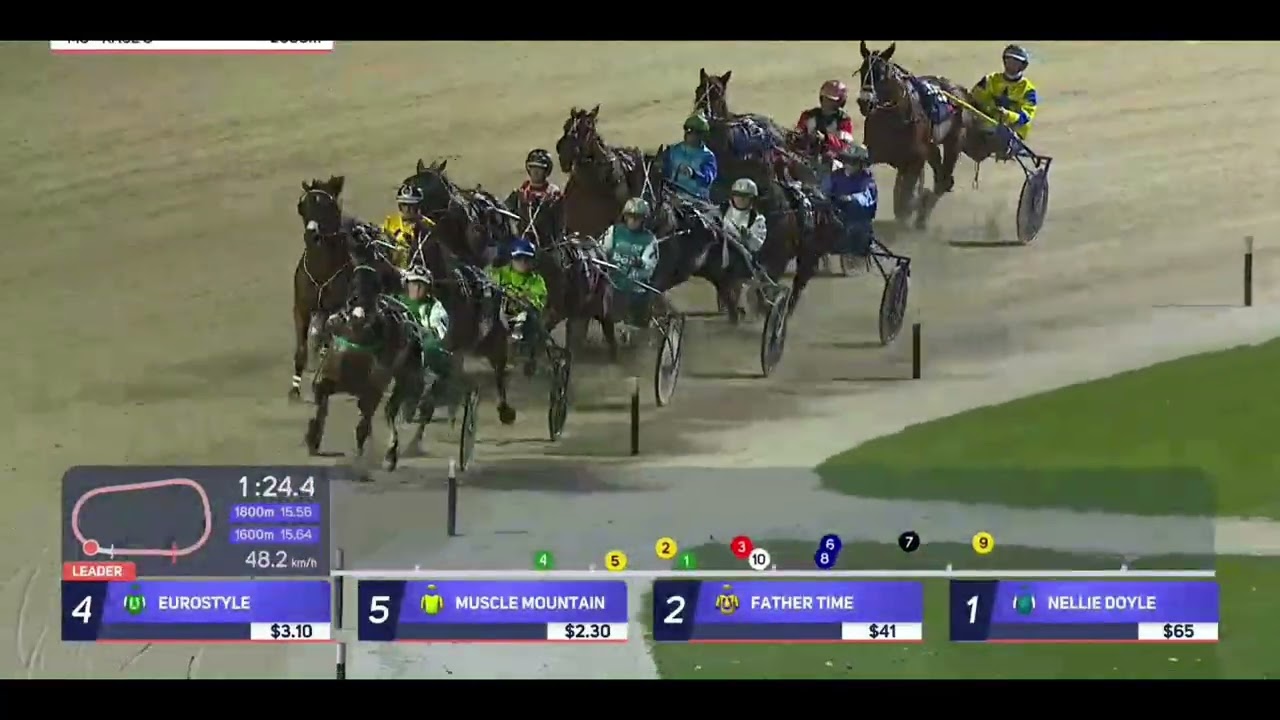 Muscle Mountain - 2026 NZ Trotting Champs