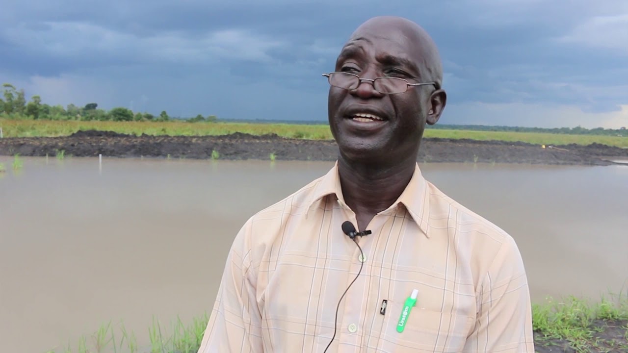 Building Resilient Communities Wetland Ecosystem and Associated Catchment Areas in Uganda Project