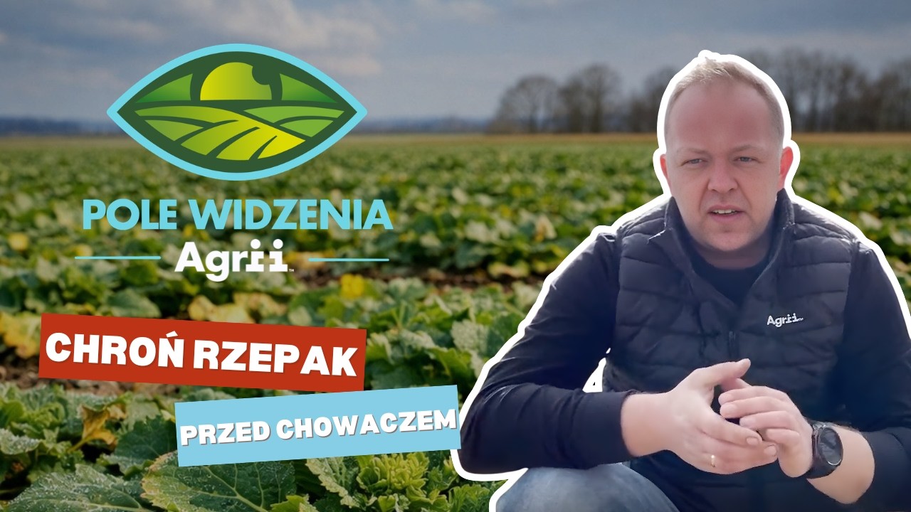 Pole widzenia Agrii #1 | Chowacz 🪲