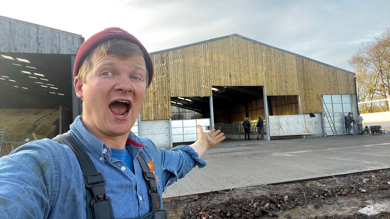 COW'S HAVE A BRAND NEW HOME!!