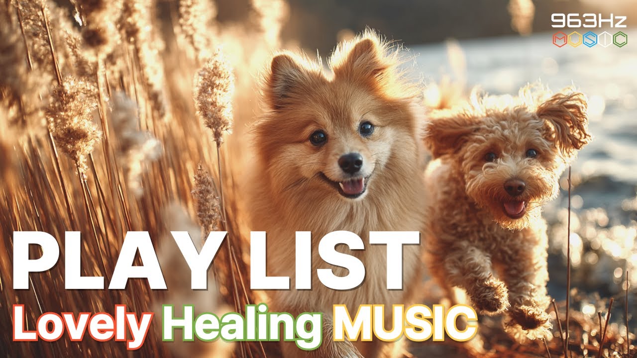 𝐏𝐥𝐚𝐲𝐥𝐢𝐬𝐭 달콤한 설렘 감성 힐링 멜로디 MUSIC, Romantic Healing Lovely Playlist | 963Hz MUSIC
