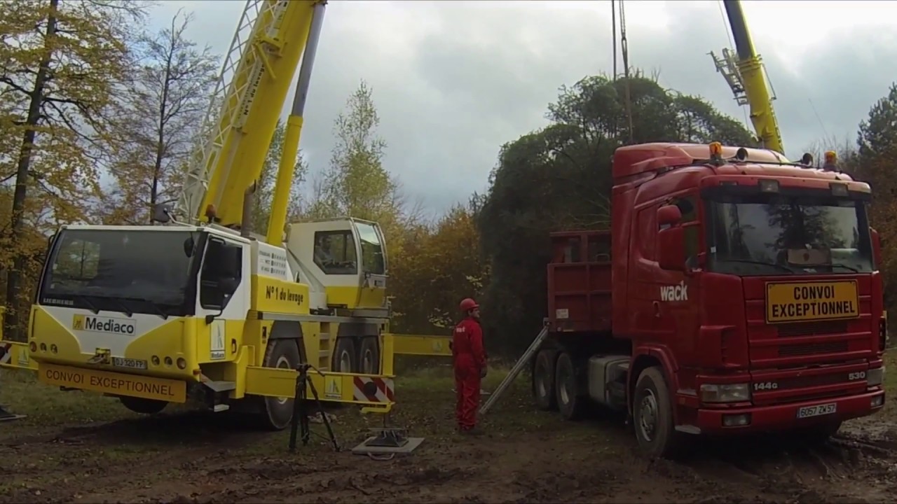 Abattage du sapin de Noël en forêt de Saint-Quirin.
