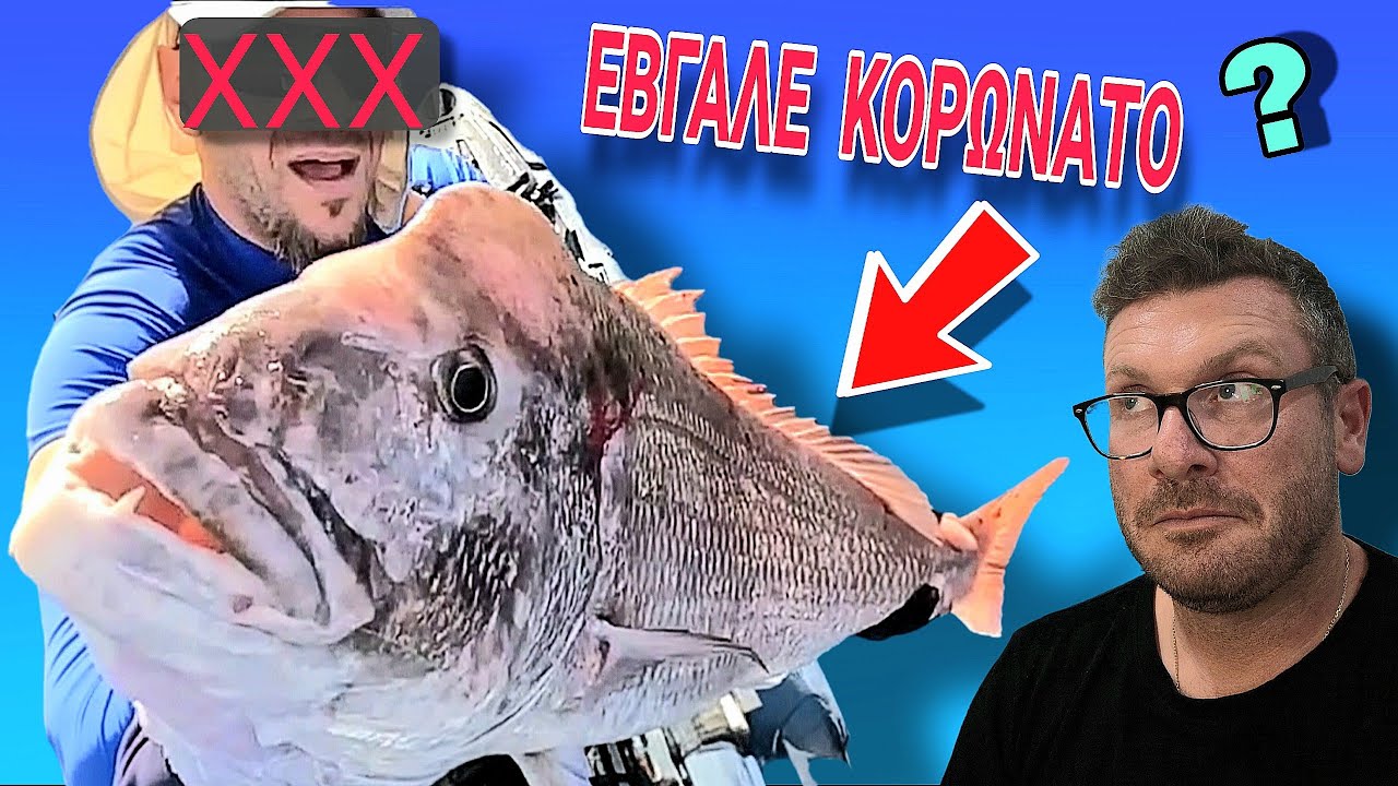 Ψαράς ΤΡΕΛΟΣ ΜΕ Kayak | Ep.2 Ψαράδες Απ Τον Καναπέ ✅️