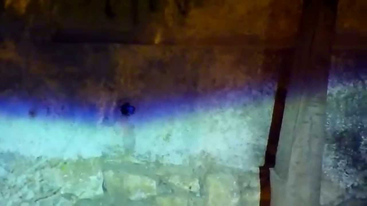 Hella vs G3 china hid projector color flicker test