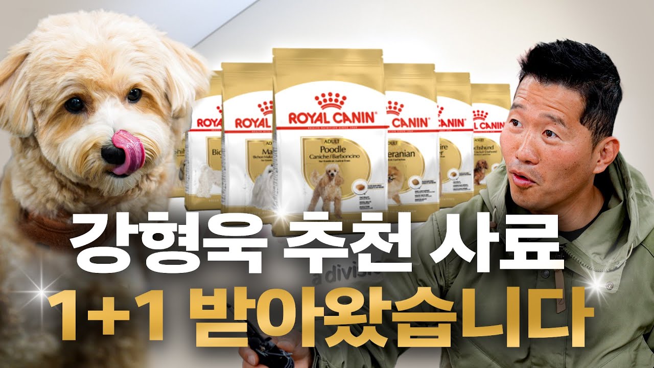 사료 맛집 로얄캐닌 놀러갔다가 1+1 받아왔습니다. 소진시 종료되니 얼렁 보세요!