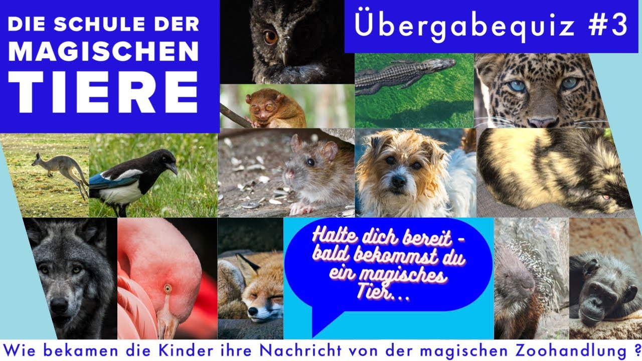 Übergabequiz 3: Schule der magischen Tiere  - Wie bekamen die Kinder ihre Nachrichten?