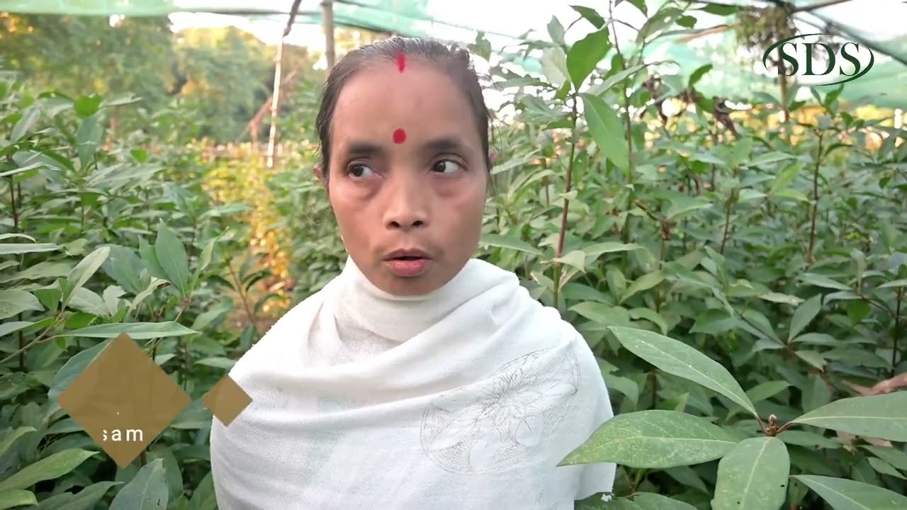 Unravelling Climate Change: The Impact on Muga Silk