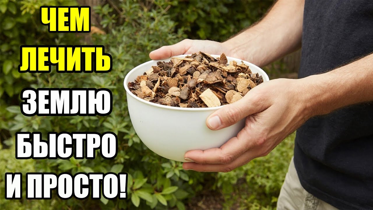 ЗЕМЛЯ СТАНЕТ ЖИВОЙ УЖЕ ЧЕРЕЗ 15 ДНЕЙ! ЭТО ЛУЧШЕ ЛЮБЫХ УДОБРЕНИЙ – ПРОВЕРЬ САМ!