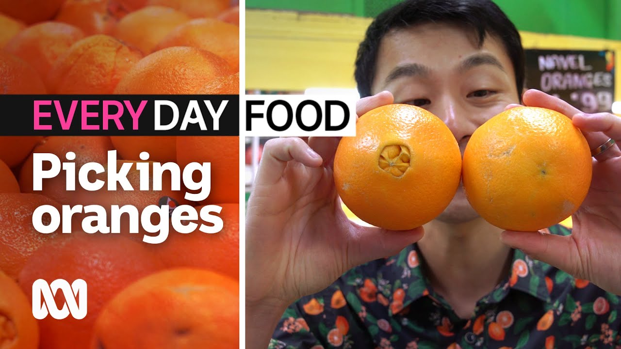 How to pick a juicy orange | Everyday Food | ABC Australia
