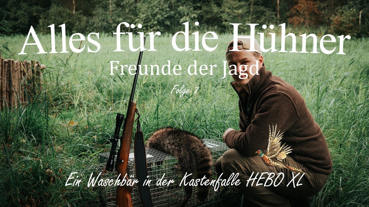 Alles für die Hühner - Folge 7 - 'Ein Waschbär in der Kastenfalle HeBo XL'