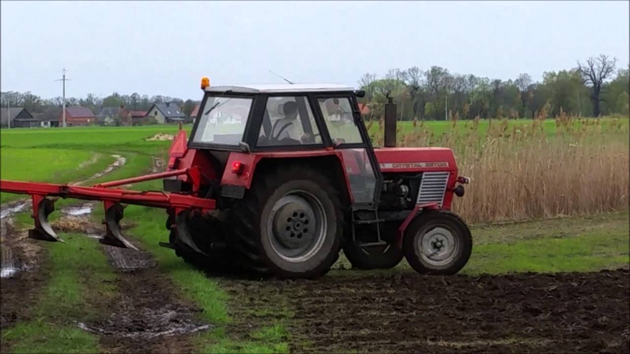 Sadzenie ziamniaków Ursus c360 Orka Zetor 8011