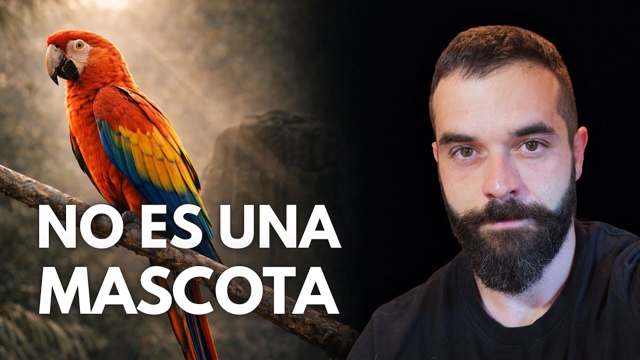 🦜 Guacamayos: inteligencia salvaje y la tragedia del comercio