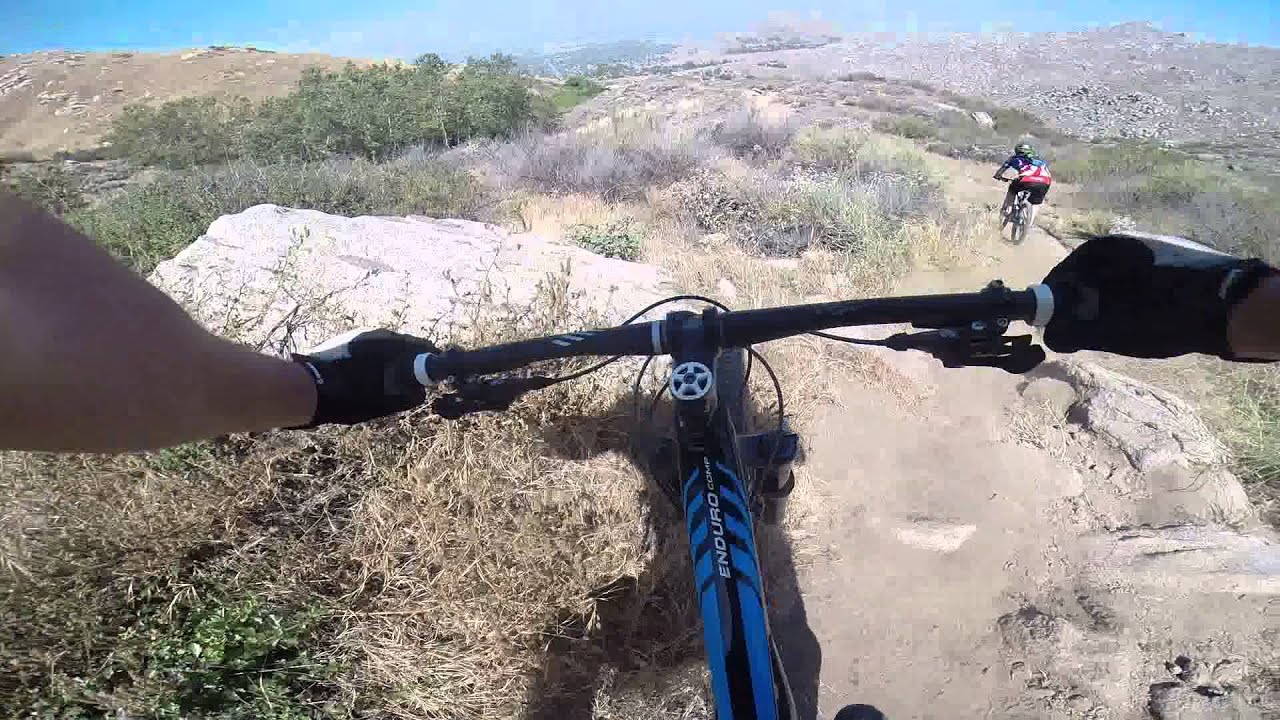 Two Trees in Box Springs with Danny and Jumpin' Jimmy 29er vs 27.5