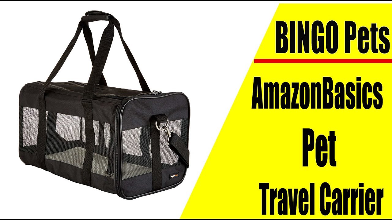 AmazonBasics Soft Sided Pet Travel Carrier Review ll Best Selling on Amazon 2019