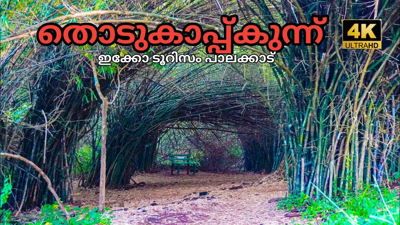 THODUKAPPUKUNNU ECO TOURISM |MANNARKKAD PALAKKAD | V: 11|