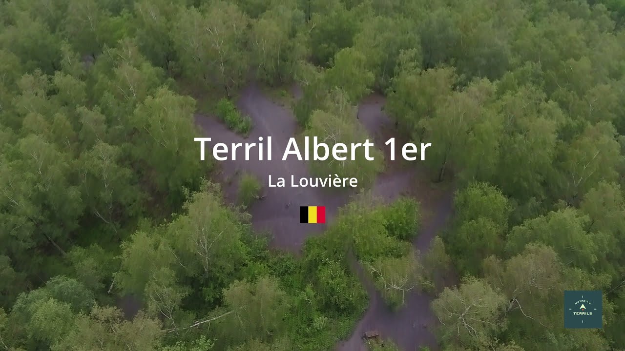 Terril Albert 1er (La Louvière - Belgique)