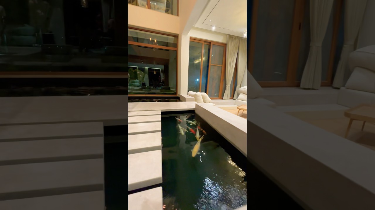 Koi Pond Indoors!!  #koipond #interiordesign  #koi aquariumfish #fishing #koifish #nishikigoi