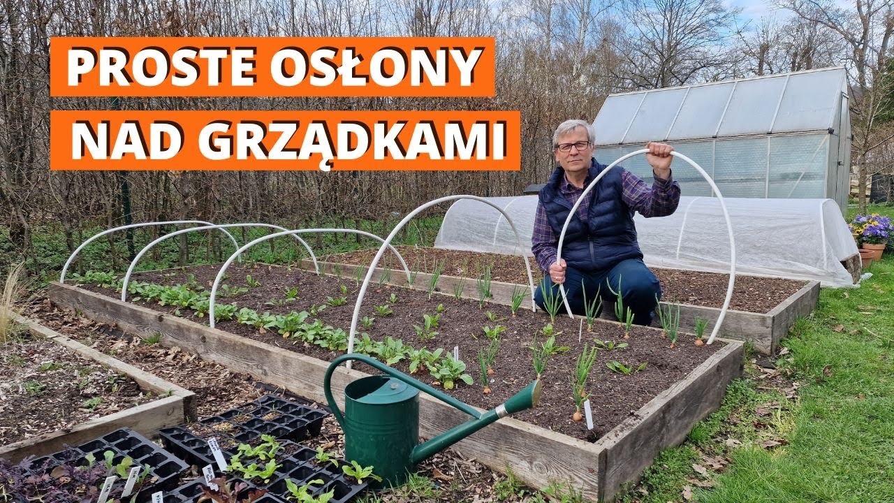 Proste osłony nad grządkami. Uprawa warzyw pod osłonami z agrowłókniny i folii.