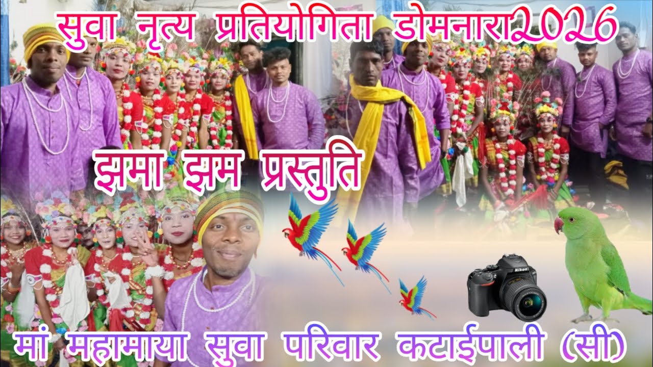 ग्राम डोमनारा मे सुवा नृत्य  प्रतियोगिता जबरजस्त प्रदर्शन ♥️ मां महामाया सुवा परिवार कटाईपाली (छाल)🙏